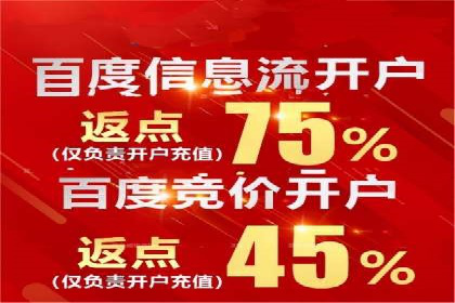 百度竞价推广实战：案例分析与优化策略